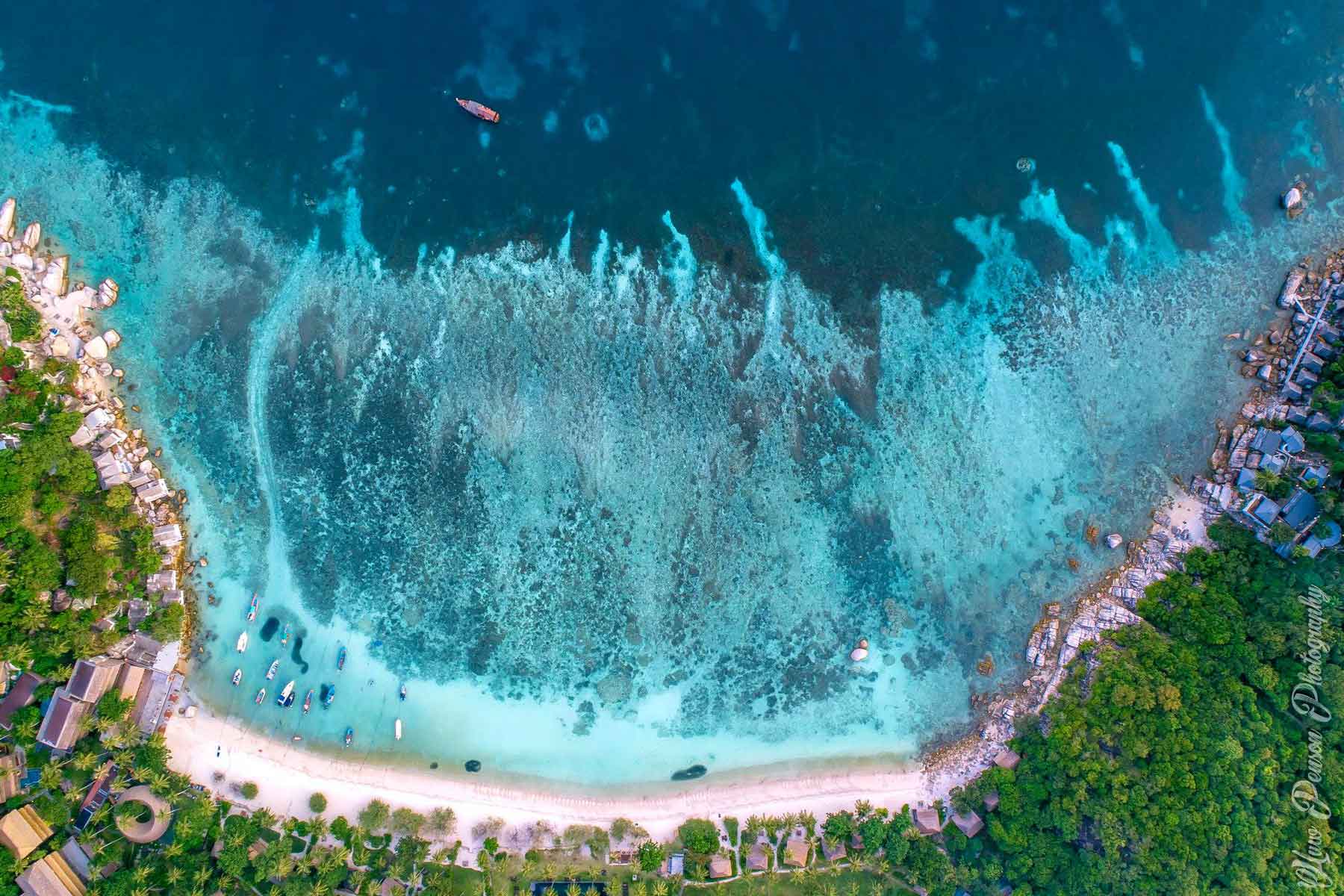 sharkbay kohtaodivers kohtaodiving thailand thaimaa parhaatrannat