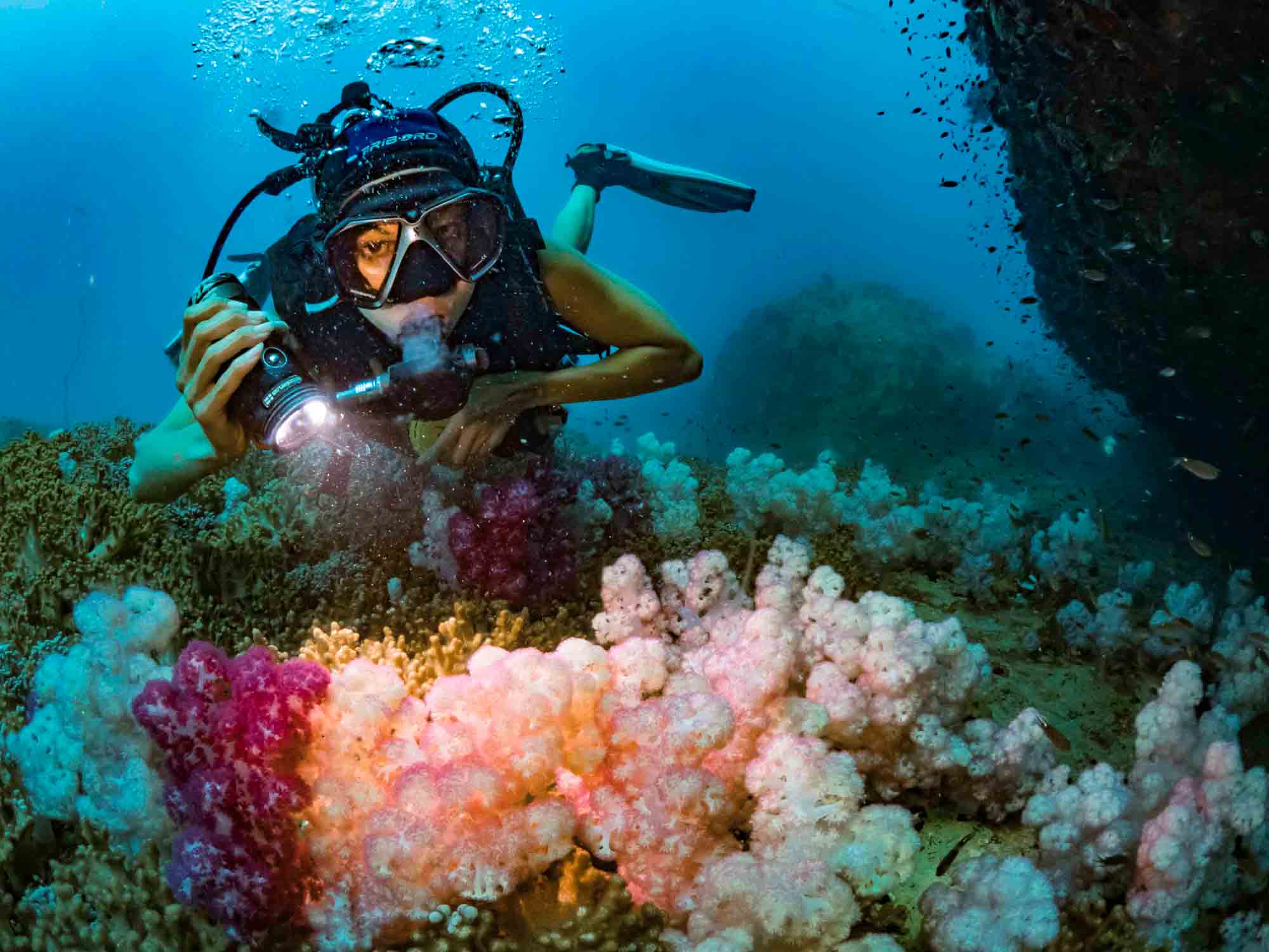 sukelluskohteet thaimaa6 divesites thailand kohtaodiving