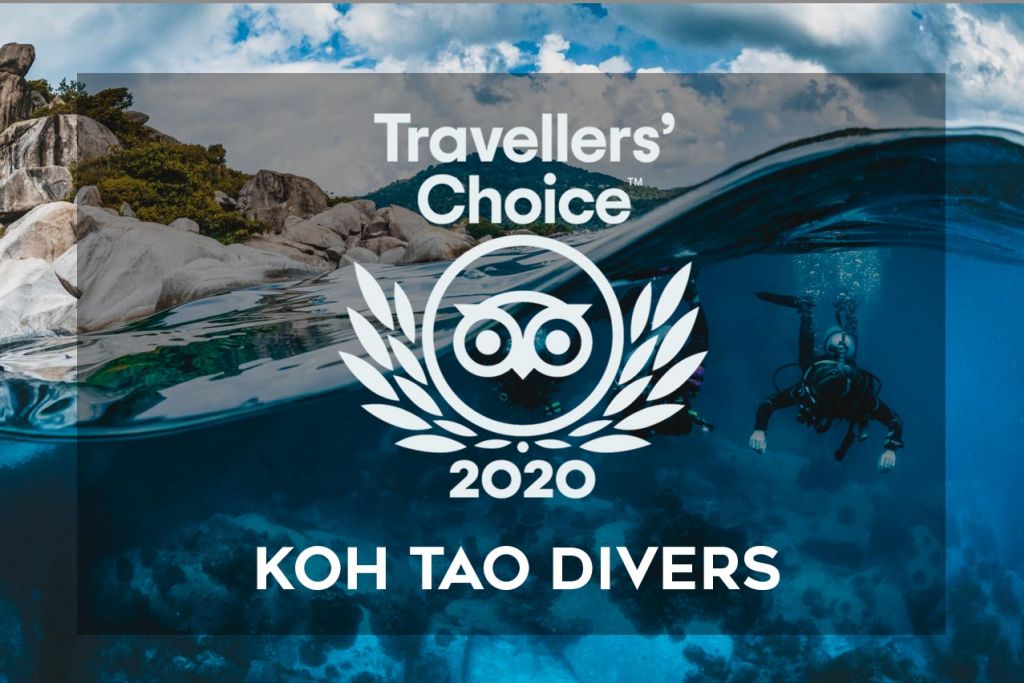 Koh tao diving tripadvisor